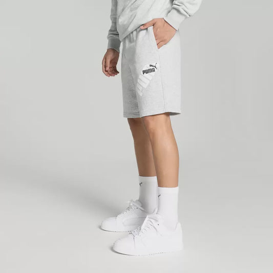 PA-E10 (Puma power graphic 9'' shorts light gray) 22493500